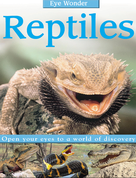 Click image to view full cover